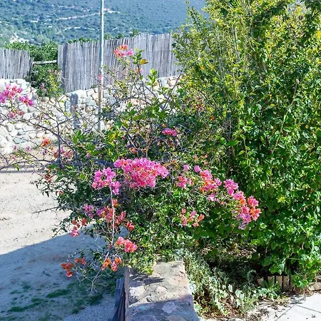 Apartment Last Minute Torre delle Stelle
